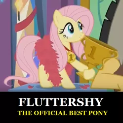 Size: 684x686 | Tagged: best gift ever, best pony, cropped, derpibooru import, discord, edit, edited screencap, feather boa, fluttershy, medal, safe, screencap, solo focus, trophy