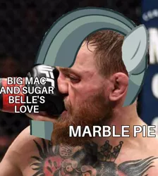 Size: 716x800 | Tagged: barely pony related, best gift ever, caption, conor mcgregor, derpibooru import, downvote bait, edit, human, image macro, implied big macintosh, implied shipping, implied straight, implied sugar belle, implied sugarmac, marblebuse, marble pie, meme, mma, punch, safe, shitposting, text, ufc