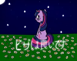 Size: 1280x1024 | Tagged: artist needed, safe, derpibooru import, twilight sparkle, pony, unicorn, flower, japanese, looking at you, moon, night, solo, starry eyes, stars, wingding eyes