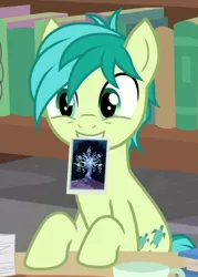 Size: 342x477 | Tagged: safe, derpibooru import, screencap, sandbar, tree of harmony, earth pony, pony, what lies beneath, cropped, cute, cutie mark, male, photo, sandabetes, smiling, solo, teenager