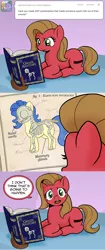 Size: 800x1913 | Tagged: suggestive, artist:muffinshire, derpibooru import, oc, oc:milky way, oc:pun, earth pony, pony, ask pun, anatomy chart, anatomy guide, ask, big crotchboobs, bone, book, chart, comic, crotchboobs, female, mare, nudity, prone, pun, skeleton