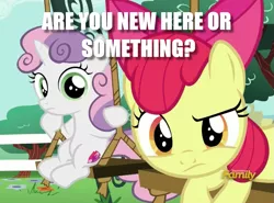 Size: 789x583 | Tagged: safe, derpibooru import, edit, edited screencap, screencap, apple bloom, sweetie belle, on your marks, caption, discovery family logo, duo, image macro, looking at you, meme, question, swing, text