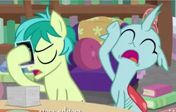 Size: 883x563 | Tagged: safe, derpibooru import, screencap, ocellus, sandbar, changedling, changeling, earth pony, pony, what lies beneath, book, bookshelf, facehoof, groan, male, pictures, sandbar is not amused, teenager, unamused