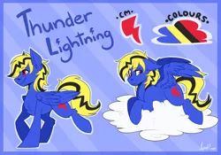 Size: 5000x3500 | Tagged: safe, artist:shyshyoctavia, derpibooru import, oc, oc:thunder lightning, unofficial characters only, pegasus, pony, male, reference sheet, solo, stallion