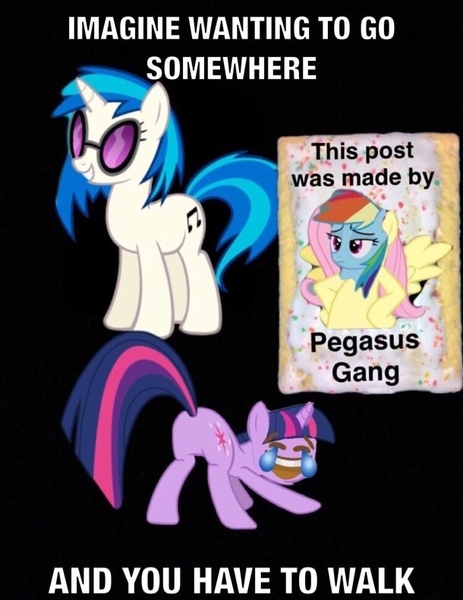 Size: 610x790 | Tagged: safe, derpibooru import, fluttershy, rainbow dash, twilight sparkle, vinyl scratch, pegasus, pony, unicorn, caption, image macro, m14 gang, meme, shitposting, text, this post was made by x gang