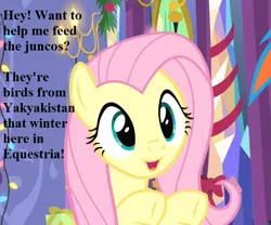 Size: 648x540 | Tagged: safe, derpibooru import, edit, edited screencap, screencap, fluttershy, rainbow dash, pegasus, pony, best gift ever, bronybait, christmas, christmas lights, cropped, cute, dialogue, english, female, garland, gift wrapped, hearth's warming decorations, holiday, mare, open mouth, present, shyabetes, smiling, solo focus, text, twilight's castle, underhoof, yakyakistan