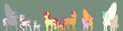 Size: 4472x1166 | Tagged: safe, artist:ganashiashaka, derpibooru import, apple bloom, chipcutter, scootaloo, sweetie belle, tender taps, terramar, oc, oc:blazer, oc:lunar luck, oc:marble chord, oc:terra taps, classical hippogriff, classical unicorn, earth pony, hippogriff, hybrid, pony, unicorn, bandana, chipbelle, clothes, cloven hooves, colt, curved horn, cutie mark, cutie mark crusaders, female, filly, foal, glasses, horn, interspecies, interspecies offspring, leonine tail, male, mare, offspring, older, older apple bloom, older scootaloo, older sweetie belle, parent:apple bloom, parent:chipcutter, parent:scootaloo, parent:tender taps, parent:terramar, parents:chipbelle, parents:tenderbloom, parents:terraloo, raised hoof, realistic horse legs, scarf, shipping, spread wings, stallion, straight, tenderbloom, terraloo, the cmc's cutie marks, unshorn fetlocks, wings