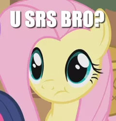 Size: 455x475 | Tagged: a bird in the hoof, caption, cropped, derpibooru import, edit, edited screencap, fluttershy, image macro, meme, question, reaction image, safe, screencap, solo focus, srsly, :t, text