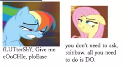 Size: 1904x1056 | Tagged: suggestive, derpibooru import, edit, edited screencap, screencap, fluttershy, rainbow dash, caption, gritted teeth, image macro, lidded eyes, meme, needs more jpeg, shitposting, smiling, smirk, text