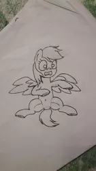 Size: 2368x4208 | Tagged: safe, artist:twinblade edge, derpibooru import, rainbow dash, frightened, gritted teeth, looking at you, monochrome, on back, solo, spreading, spread legs, spread wings, traditional art, wings