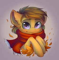 Size: 971x980 | Tagged: safe, artist:falafeljake, derpibooru import, oc, oc:lionheart, unofficial characters only, pony, autumn, autumn leaves, blushing, clothes, commission, cute, gradient background, head, leaf, leaves, male, scarf, simple background, solo, stallion, ych result