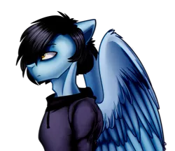 Size: 1509x1302 | Tagged: safe, artist:hicoojoo, derpibooru import, oc, oc:tyler, pegasus, pony, bust, clothes, hoodie, male, portrait, simple background, solo, stallion, transparent background