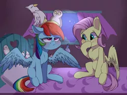 Size: 2800x2100 | Tagged: safe, artist:passigcamel, derpibooru import, fluttershy, rainbow dash, bird, cockatiel, owl, parrot, pegasus, pigeon, pony, bed, blushing, duo, female, finch, indoors, java sparrow, mare, on bed, rainbow dash is best facemaker, rainbow dash is not amused, sitting, sitting on head, smiling, spread wings, unamused, varying degrees of amusement, wings, zebra finch