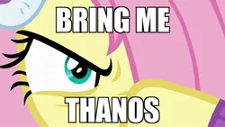 Size: 1280x720 | Tagged: angry, avengers, avengers: infinity war, badass, best gift ever, caption, crossover, derpibooru import, edit, edited screencap, flutterbadass, fluttershy, image macro, infinity war, marvel, marvel cinematic universe, meme, parody, reference, safe, screencap, solo, text, thanos, this will end in death, this will end with half of equestria dying, thor