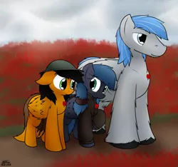 Size: 1981x1852 | Tagged: safe, artist:the-furry-railfan, derpibooru import, oc, oc:featherweight, oc:night strike, oc:twintails, unofficial characters only, pegasus, pony, brodie helmet, clothes, cloud, cloudy, field, flower, helmet, jacket, poppy, poppy field, remembrance day, size difference, unshorn fetlocks, veterans day, world war i