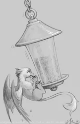Size: 900x1400 | Tagged: safe, artist:amarynceus, deleted from derpibooru, derpibooru import, oc, oc:der, unofficial characters only, gryphon, bird feeder, birds doing bird things, eating, griffons doing bird things, male, micro, monochrome, seeds, solo, spread wings, wings