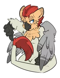 Size: 2550x3300 | Tagged: armpits, artist:bbsartboutique, beak, biologically justified underarm fluff, chest fluff, derpibooru import, hippogriff, hybrid, leonine tail, neck feathers, oc, oc:manfred pferdefeder, oc:red, safe, talons, thumbs down