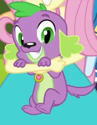 Size: 242x311 | Tagged: safe, derpibooru import, screencap, fluttershy, spike, spike the regular dog, dog, equestria girls, equestria girls series, forgotten friendship, cute, female, paws, smiling, spikabetes