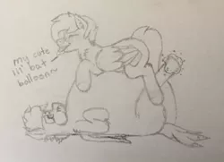 Size: 400x290 | Tagged: suggestive, artist:aaathebap, derpibooru import, oc, oc:aaaaaaaaaaa, bat pony, pony, belly, belly bed, big belly, huge belly, impossibly large belly, inflation, on back, pinned down, puffy, squishy