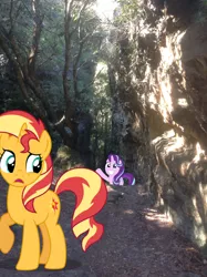 Size: 1024x1371 | Tagged: safe, artist:didgereethebrony, derpibooru import, starlight glimmer, sunset shimmer, pony, blue mountains, cutie mark, didgeree collection, irl, megalong valley, mlp in australia, photo, ponies in real life, tree, valley, waving