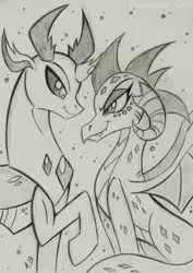 Size: 1604x2266 | Tagged: safe, artist:rossmaniteanzu, derpibooru import, princess ember, thorax, changedling, changeling, dragon, dragoness, embrax, female, gray background, grayscale, interspecies, king thorax, looking at each other, male, monochrome, pencil drawing, shipping, simple background, straight, traditional art