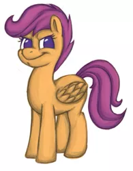 Size: 415x532 | Tagged: safe, artist:hardway bet, artist:hardwaybet, derpibooru import, scootaloo, pegasus, pony, female, filly, looking at you, simple background, smiling, smirk, solo, white background