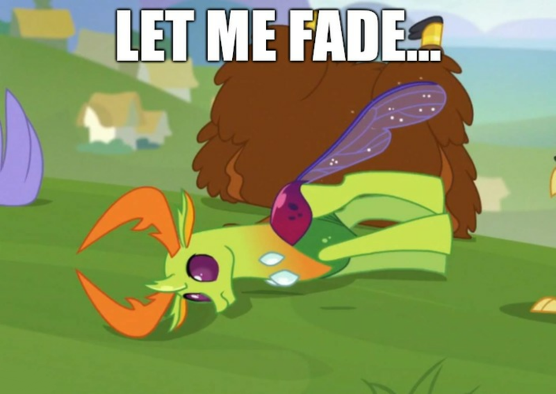 Size: 1524x1080 | Tagged: caption, changedling, changeling, cropped, derpibooru import, dropping thorax, edit, edited screencap, editor:apex soundwave, error, frown, funny, grampa gruff, image macro, joke, king thorax, male, meme, planking, prince rutherford, safe, school daze, screencap, season 8, seaspray, side, solo focus, spoiler:s08, text, thorax, wide eyes