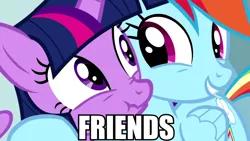 Size: 1920x1080 | Tagged: safe, derpibooru import, edit, edited screencap, screencap, rainbow dash, twilight sparkle, twilight sparkle (alicorn), alicorn, pegasus, pony, totally legit recap, caption, female, friends, image macro, just friends, mare, meme, scrunchy face, text, uncomfortable