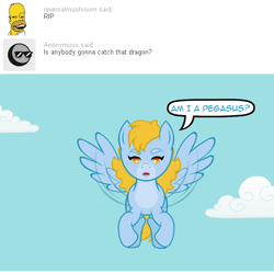 Size: 540x540 | Tagged: safe, artist:aha-mccoy, derpibooru import, oc, oc:cersci, oc:dicey roll, pegasus, pony, nopony-ask-mclovin, animated, ask, bungee jumping, caption, female, flying, gif, gif with captions, mare, rope, speech bubble, transformation, tumblr