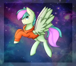 Size: 3000x2600 | Tagged: safe, artist:rskyfly, derpibooru import, oc, oc:gusty breeze, unofficial characters only, pegasus, pony, clothes, commission, hoodie, male, solo, space background, stallion, ych result