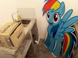 Size: 4032x3016 | Tagged: cardboard cutout, cargo ship, derpibooru import, irl, kitchen sink, malaysia, photo, photographer:horsesplease, rainbow dash, rainbowsink, safe, shipping, the friendship express, the friendship express 2018, wat, why