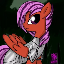 Size: 894x894 | Tagged: safe, artist:ladycookie, derpibooru import, pegasus, pony, armor, forest, full plate armor, looking at you, pink mane, profile, red coat, wings