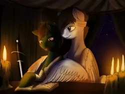 Size: 3600x2700 | Tagged: safe, artist:ruirik, derpibooru import, oc, oc:iron rain, oc:pathfinder, pegasus, pony, candlelight, hurt/comfort, learning, night, reading