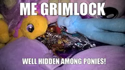 Size: 3264x1840 | Tagged: alicorn, applejack, artist:edhelistar, beanie babies, blatant lies, build-a-bear, caption, crossover, derpibooru import, dinobot, doctor whooves, fail, fluttershy, grimlock, image macro, irl, meme, photo, plushie, rainbow dash, safe, scootaloo, starlight glimmer, text, time turner, toy, transformers, transformers age of extinction, twilight sparkle, twilight sparkle (alicorn)