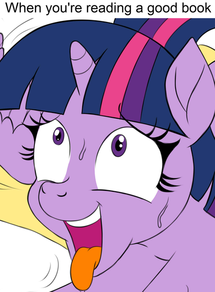 Size: 1182x1606 | Tagged: suggestive, artist:tomtornados, derpibooru import, edit, twilight sparkle, twilight sparkle (alicorn), alicorn, ahegao, book, caption, cropped porn, explicit source, image macro, meme, misleading thumbnail, open mouth, simple background, sweat, text, text edit, that pony sure does love books, tongue out