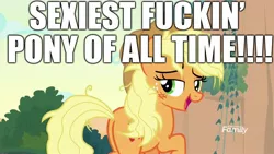 Size: 1920x1080 | Tagged: safe, derpibooru import, edit, edited screencap, screencap, applejack, pony, sounds of silence, applebutt, butt, caption, cute, excessive exclamation marks, image macro, lidded eyes, meme, messy mane, peaks of peril, plot, sexy, solo, stupid sexy applejack, text, truth, vulgar