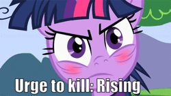 Size: 500x281 | Tagged: angry, animated, blushing, blushlight sparkle, derpibooru import, edit, edited screencap, gif, lesson zero, looking at you, messy mane, safe, screencap, simpsons did it, text edit, the simpsons, this will end in death, this will not end well, twilight sparkle, urge to kill rising