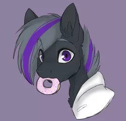 Size: 1143x1103 | Tagged: safe, artist:realfablepony, derpibooru import, oc, oc:doctor vie, pony, .psd available, bust, donut, food, male, mouth hold, portrait, purple background, simple background, solo, stallion