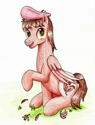 Size: 2088x2753 | Tagged: safe, artist:40kponyguy, derpibooru import, oc, oc:autumn harvest, pegasus, pony, beret, grass, hat, leaves, looking at you, male, raised hoof, requested art, solo, stallion, traditional art