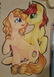 Size: 1769x2510 | Tagged: safe, artist:gleamydreams, derpibooru import, bright mac, pear butter, pony, couple, duo, female, looking at each other, male, mare, open mouth, raised hoof, signature, sitting, smiling, stallion, traditional art