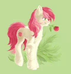 Size: 2900x3020 | Tagged: artist:winternight2015, chest fluff, cute, derpibooru import, ear fluff, flower, flower in mouth, fluffy, mouth hold, rose, roseluck, safe, simple background, solo