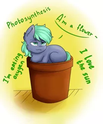 Size: 2500x3000 | Tagged: safe, artist:rskyfly, derpibooru import, oc, unofficial characters only, earth pony, pony, commission, lidded eyes, photosynthesis, pot, solo, ych result