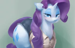 Size: 1280x821 | Tagged: suggestive, artist:bluedrg19, derpibooru import, rarity, pony, unicorn, bedroom eyes, butt, clothes, female, looking at you, mare, plot, rearity, solo, solo female, the ass was fat