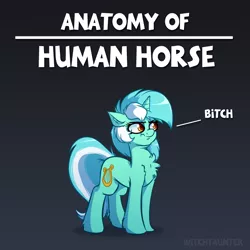 Size: 4000x4000 | Tagged: safe, artist:witchtaunter, derpibooru import, lyra heartstrings, pony, unicorn, :t, absurd resolution, anatomy guide, angry, bitch, chest fluff, cute, cutie mark, ear fluff, female, floppy ears, fluffy, frown, glare, gradient background, gray background, grumpy, hoof fluff, humie, leg fluff, lyra is not amused, lyrabetes, madorable, mare, scrunchy face, shoulder fluff, simple background, solo, unamused, unshorn fetlocks, vulgar, wavy mouth