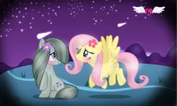 Size: 885x536 | Tagged: safe, artist:spero, derpibooru import, edit, vector edit, fluttershy, marble pie, earth pony, pegasus, pony, blushing, cutie mark, female, flower, flower in hair, lesbian, looking at each other, marbleshy, mare, mountain, night, shadow, shipping, shooting star, shy, smiling, stars, vector, vignette