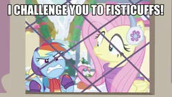 Size: 960x540 | Tagged: safe, derpibooru import, screencap, fluttershy, rainbow dash, pony, best gift ever, angry, caption, clothes, cute, earmuffs, fisticuffs, image macro, madorable, rainbowsnap, scarf, snow, text, window