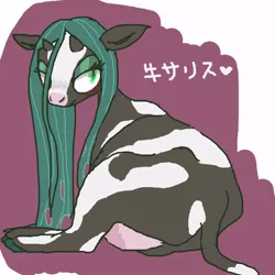 Size: 600x600 | Tagged: artist:ume89s, blushing, cow, cowified, derpibooru import, eyeshadow, female, heart, japanese, looking back, lying down, makeup, queen chrysalis, queen cowsalis, safe, side, solo, species swap, udder
