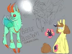 Size: 1280x960 | Tagged: safe, artist:cosmic-horse, artist:cosmichorse, derpibooru import, oc, oc:beetle blossom, unofficial characters only, beetle, bug pony, changedling, changeling, insect, pony, bugpony, changedling oc, changeling oc, insect wings, reference, simple background, solo, wings