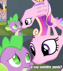 Size: 1080x1214 | Tagged: safe, artist:dwk, derpibooru import, edit, edited screencap, editor:apex soundwave, screencap, princess cadance, spike, alicorn, dragon, pony, totally legit recap, equestria games (episode), are you frustrated?, cadance is not amused, caption, duo, equestria games, image macro, impact font, meme, text, unamused, wat, why the long face