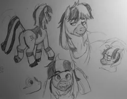 Size: 1280x998 | Tagged: safe, artist:pony quarantine, derpibooru import, oc, oc:zeta, unofficial characters only, zebra, :p, lidded eyes, looking at you, male, mlem, monochrome, silly, sketch, sketch dump, smiling, solo, stallion, tail wrap, tongue out, traditional art, underhoof, zebra oc